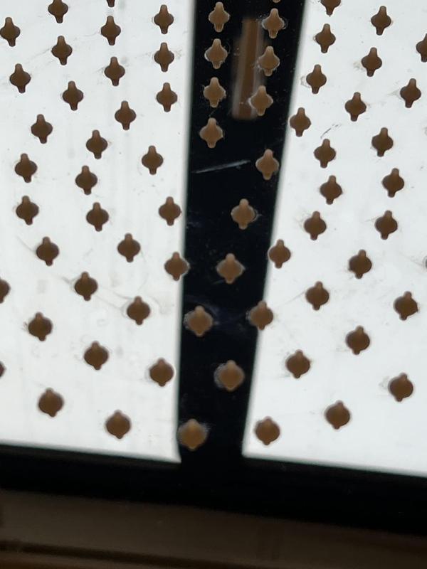 Waterevolution Clip muur regendouche chroom T964101