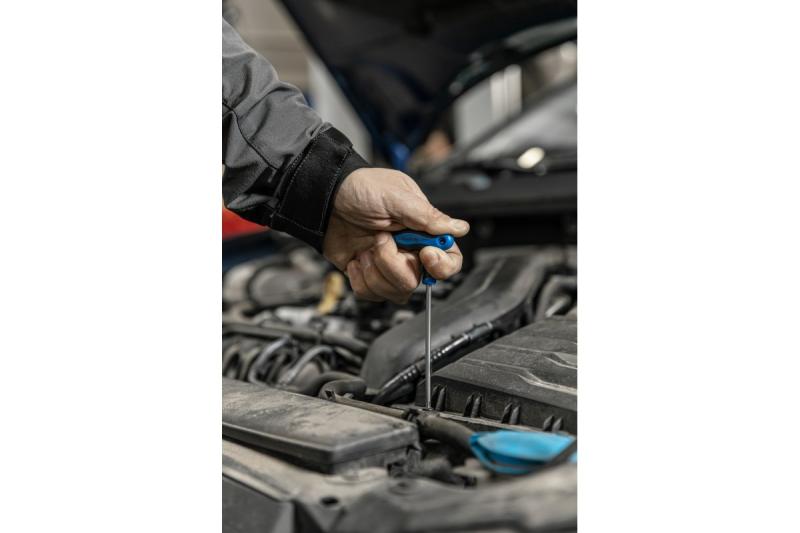 Hoegert Torx-beveiligingssleutels - T-type lang TT25 1208960127