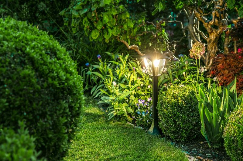 LED LIGHT SOURCE, FILAMENT,  A60, WARM WHITE, E27, 8W, AC220-240V/ 50-60Hz, RA>80, LIGHT ANGLE 1208962592