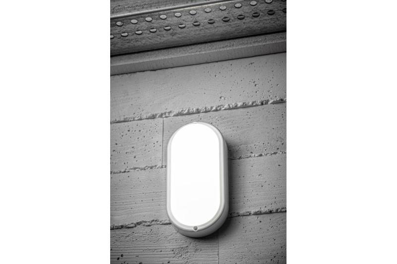 LED KODO-OV lamp, 8W, 720lm, AC175-260V, 50/60 Hz, PF>0.5, Ra≥80, IP54, IK08, 4000K, oval, white 1208962889