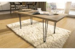 Hairpin ARTO leg with a foot, 2 rods, 10 x 711 mm, black 1208963520