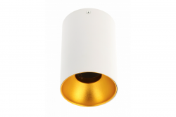 Decor Plafondarmatuur TENSA alum. 96x140 IP20 GU10 rond wit. 1208964019