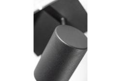 Decor Plafondarmatuur VENETO IP20 max. 20W 1 x GU10 rond zwart. 1208964036